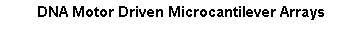 Text Box: DNA Motor Driven Microcantilever Arrays